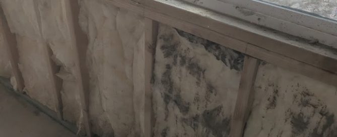 unappealing physical and visual presence of mold growth after Dry Fogging
